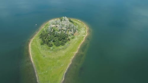 Green isle in the middle of a lake with trees on it