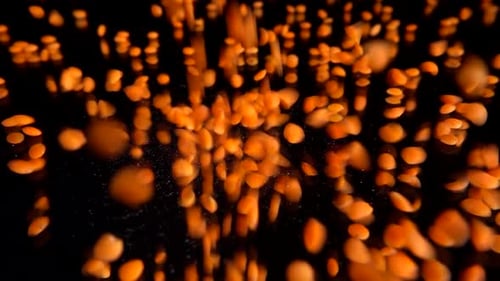 Lentils Falling in Slow Motion on Black