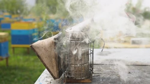Old Bee Smoker on the Apiary