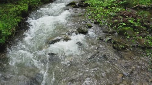 River Mountain Park Wild Water Story Green Stone Sun