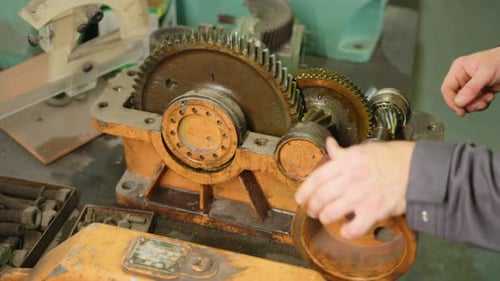 Assembling Complex Gears in an Industrial Machine