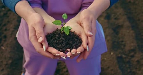 Young Woman is Holding Green Sprout in Hands Man is Embracing Her and Supporting Prores