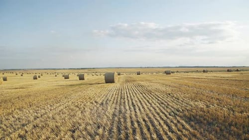 Beautiful View of Hay Field with Spacious Horizon and Amazing Bright Sunny Sky