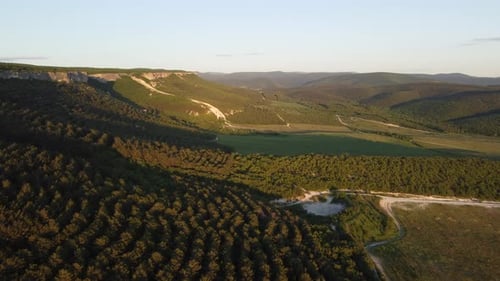 Aerial View on Green Wheat Field in Countryside