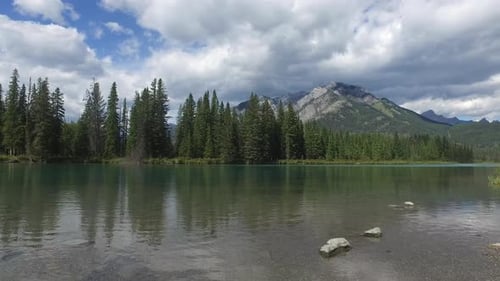 Mountains, trees and lake