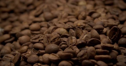 Roasted Coffee Beans Filling Frame
