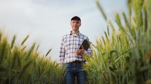 Farmer Walking Along a Wheat Field with Digital Tablet