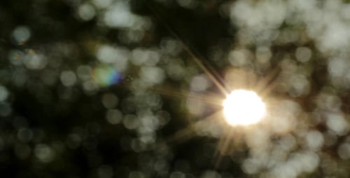 Sunshine Bokeh Slider 1