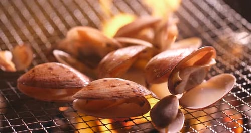 Fresh clam on barbecue grilled metal net