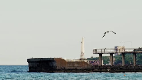 Seagull Flying Near Pier Above Calm Blue Ocean