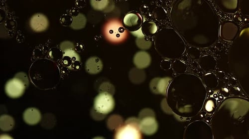 Abstract Colorful Food Oil Drops Bubbles 164