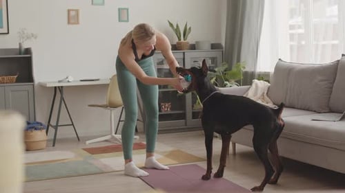 Woman Plays with her Doberman Dog at Home