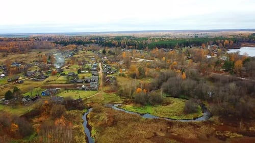 Autumn In The Forest 33