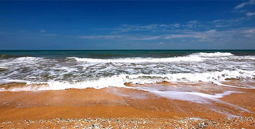 Saved Seas