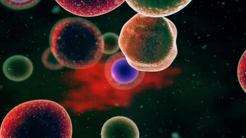 Microscopic Cells Interacting and Dividing in Biological Animation