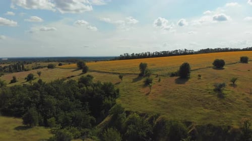 Aerial View of Green Fields and Hills on the Countryside, Green Valley, Village Skyline