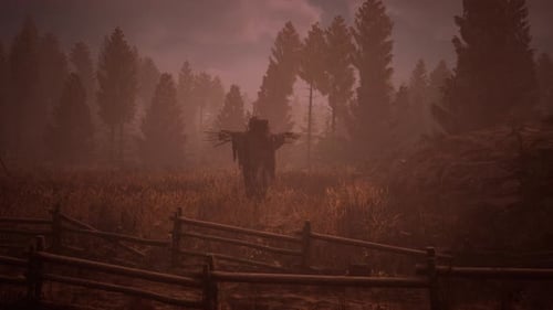 Terrible Scarecrow in Dark Cloak and Dirty Hat Stands Alone in Autumn Field