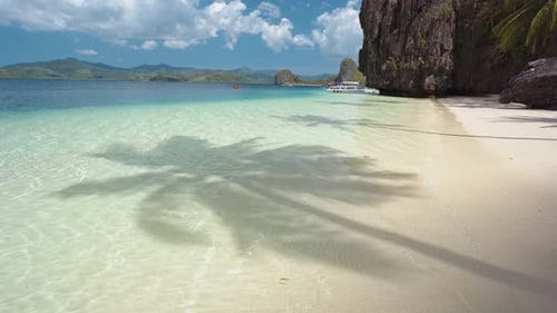 Palm Tree Shadow on Exotic Tropical Sandy Beach and Turquoise Ocean in Background