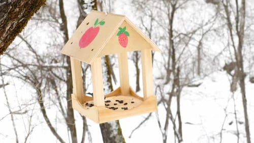 Bird Feeder in the Park