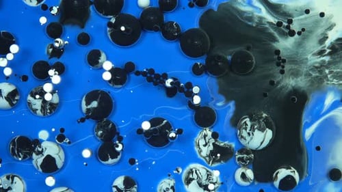 Abstract Black and White Ink Mixing in Blue Liquid