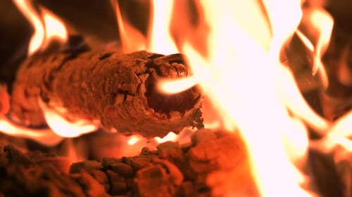 Burning Wood Logs in a Cozy Fireplace