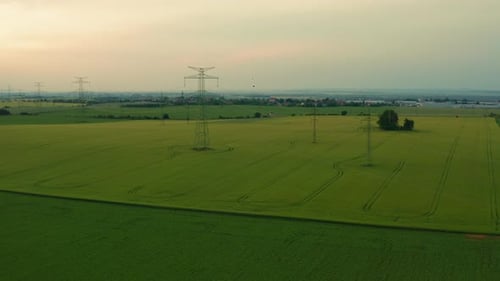 Meadow and Power Distribution Lines at Sunset in Spring