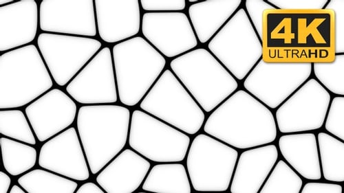 Abstract Geometric Cell Network Evolving Background Loop