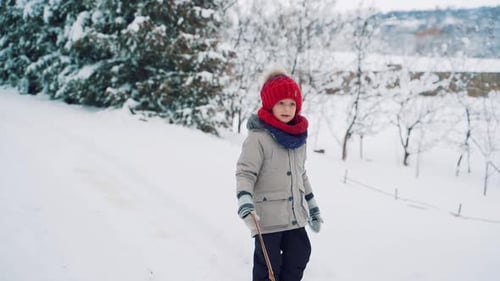 Child is Examining the Area Around Him in the Winter Forest