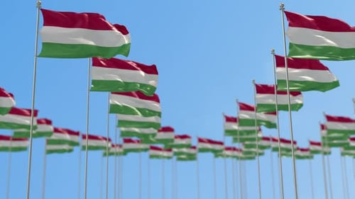Realistic Waving Hungarian Flags on Flagpoles Against Blue Sky