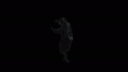 Animated Black Panther Standing Upright on Black Background