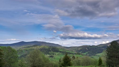 Green Spring Landscape