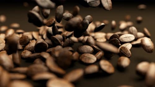 Realistic Coffee Beans Falling and Bouncing
