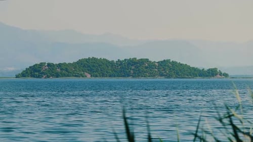 Island
