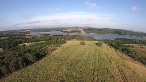 Aerial Farmland and Forest