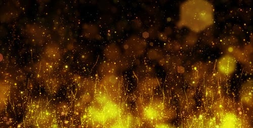 Orange Loop Particles