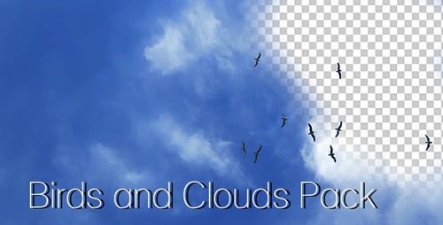 Animated Birds Flying in Group with Alpha Channel