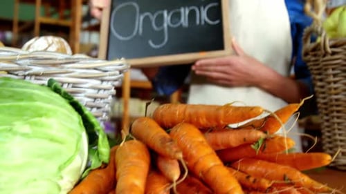 Woman Promotes Organic Produce in Grocery Store