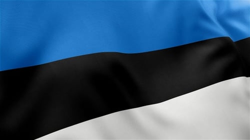 Realistic Waving Estonia Flag with Fabric Texture
