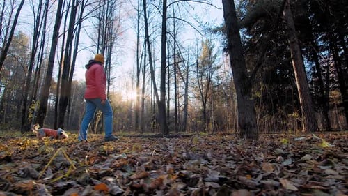 Dog and Woman in Autumn Forest