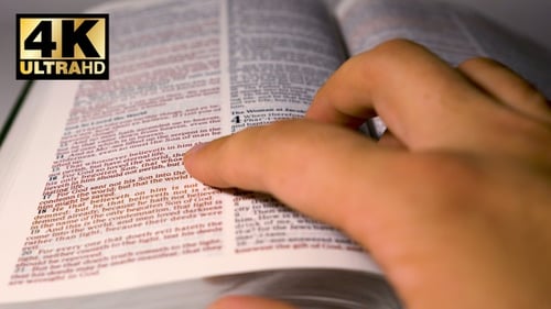 Lesen der Heiligen Bibel Johannes 3:16