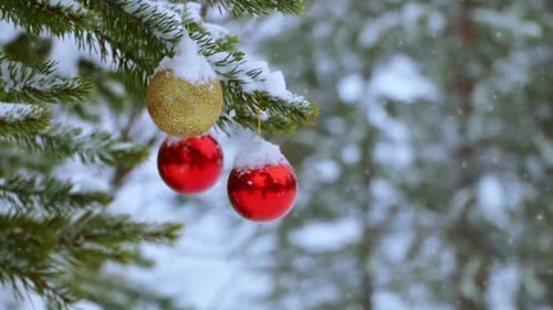 Christmas Balls on the Tree in the Forest and Snowfall