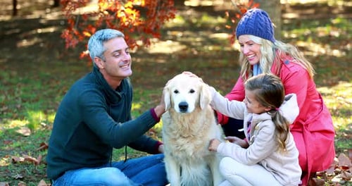 Family sitting in the park with their dog