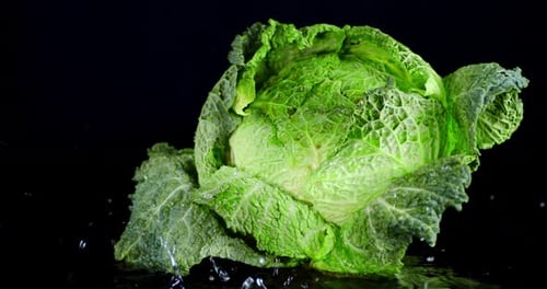 On Forks Fresh Cabbage Falling Water Drops.