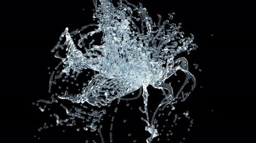 Dynamic Clear Water Splash Animation with Fluid Motion