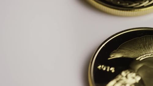 Plan rotatif de Titan Bitcoins (cryptomonnaie numérique) - BITCOIN TITAN