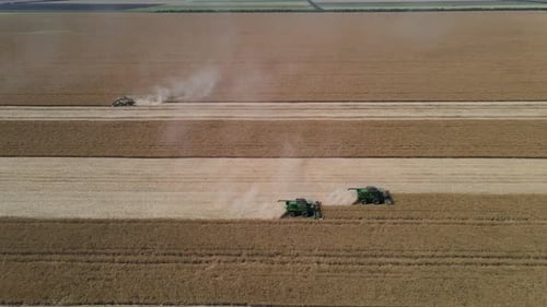 Combine Harvester Harvests Rapeseed In The Field. From A Bird's Eye View
