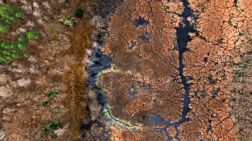 Brown swamps and small river, view from drone