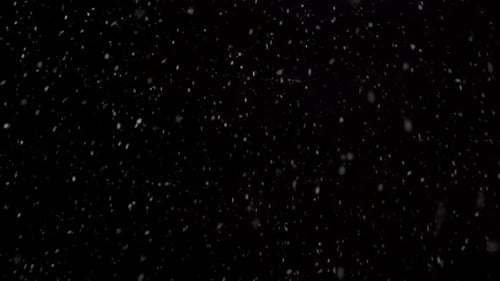 Animated Snow Falling on Black Background