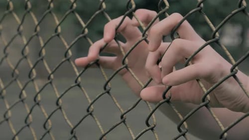 Closeup View of Young Man's Hands Shaking Metal Mesh at Fenced Area