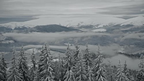 Scenic Winter Landscape in the Mountains with Clouds Above and Below and Woods Covered in Snow